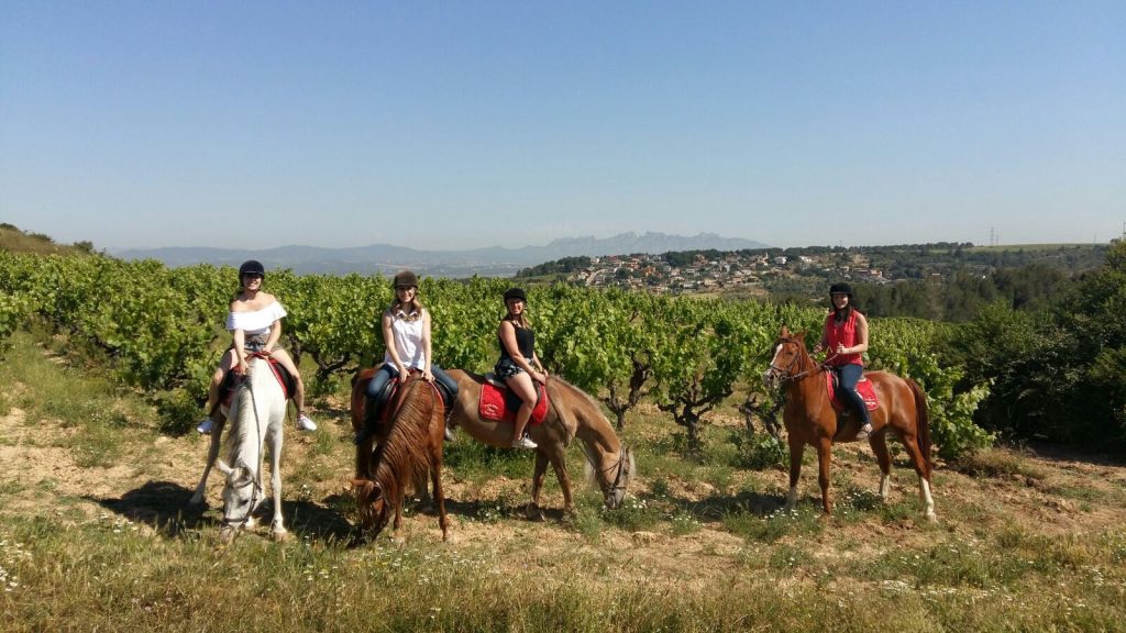 Horseback ride, Wine tours, Barcelona, Horses