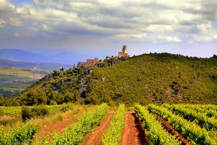 Wine by the winery Castell D'Encús.